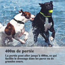 Charger l'image dans la galerie, Collier de Dressage pour Chiens Rechargeable avec 2 Récepteurs, 100% Résistant à L’Eau et Portée Jusqu’à 400 Mètres (MDT101-2)