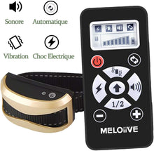Charger l'image dans la galerie, Collier de dressage et Collier anti aboiement pour Chien--Contrôle manuel portée 700 mètres--Étanche niveau IP67 (M813-2)