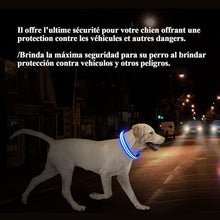 Charger l'image dans la galerie, Colliers pour Chiens LED, Rechargeable par USB, 100% Résistant à L’Eau, Lumineux avec 3 Modes,Collier de Clignotant LED pour Chiens, Adapté à la Promenade Nocturne