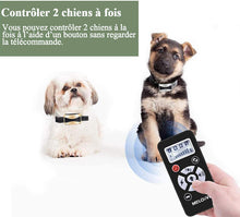 Charger l'image dans la galerie, Collier de dressage et Collier anti aboiement pour Chien--Contrôle manuel portée 700 mètres--Étanche niveau IP67 (M813-2)