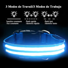 Charger l'image dans la galerie, Colliers pour Chiens LED, Rechargeable par USB, 100% Résistant à L’Eau, Lumineux avec 3 Modes,Collier de Clignotant LED pour Chiens, Adapté à la Promenade Nocturne