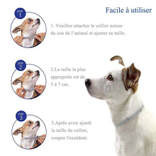 Charger l'image dans la galerie, Collier Antipuces et Anti-Tiques pour Chiens et Chats, Prévention Contre Les Tiques et Les Puces Pendant 8 Mois, Formule Naturelle(62 cm).