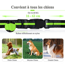 Charger l'image dans la galerie, Collier de Dressage pour Chiens Rechargeable avec 2 Récepteurs, 100% Résistant à L’Eau et Portée Jusqu’à 400 Mètres (MDT101-2)