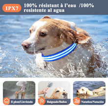 Charger l'image dans la galerie, Colliers pour Chiens LED, Rechargeable par USB, 100% Résistant à L’Eau, Lumineux avec 3 Modes,Collier de Clignotant LED pour Chiens, Adapté à la Promenade Nocturne