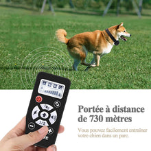 Charger l'image dans la galerie, Collier de dressage et Collier anti aboiement pour Chien--Contrôle manuel portée 700 mètres--Étanche niveau IP67 (M813)