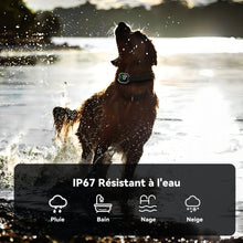 Charger l'image dans la galerie, Collier Anti Aboiement Chien Automatique,Contrôle Anti-aboiement Intelligent,3 Modes Choc Statique/Vibration/Son,8 Niveaux de Sensibilité,Étanche et Rechargeable pour Gros Petit Chiens MD23T