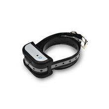 Charger l'image dans la galerie, Système de Clôture Anti-fugue avec Fil pour Chiens - Système De Clôture avec Un Collier Rechargeable Et Une Clôture Complete (GAF004)