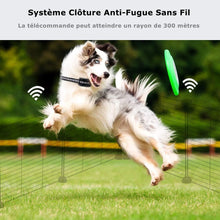 Charger l'image dans la galerie, Système Clôture Anti-Fugue Sans Fil avec un Collier Imperméable,Clôture Sans Fil et Collier de Dressage pour Chien 2 en 1 (GAF003)
