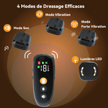 Charger l&#39;image dans la galerie, Beoankit Collier Vibrant-Conformes à La Nouvelle Loi 2023-Collier de Dressage,Portée de 2000 Mètres,Rechargeable avec 4 Modes Lumières LED/Son/Vibration/Forte Vibration,Résistant à l&#39;eau IP67 BD16T
